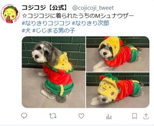 20241129_cojipet_mihon2.jpgのサムネイル画像