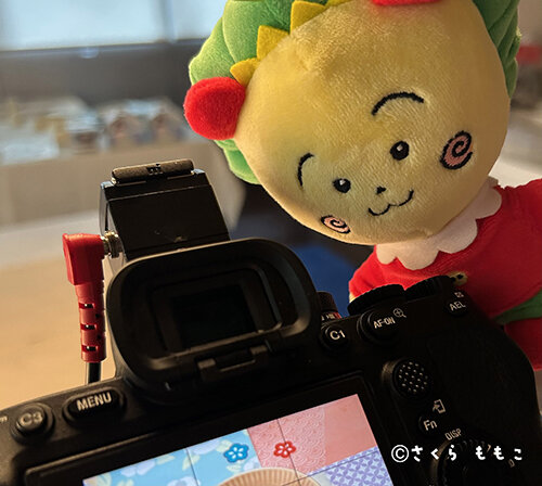 coji_tsukimi_sennyu_500.jpg